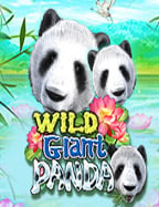 สุดยอดโปร ฝาก 20 รับ 100 918kiss ที่นักสปินไม่ควรพลาด